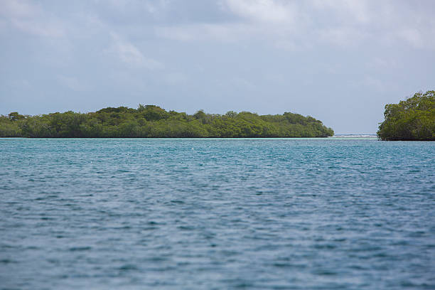 istock blue sky, ocean and wild cayos in Morrocoy 482565184