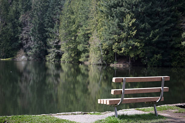 Park Bench by a Lake in Nanaimo, Canada. 