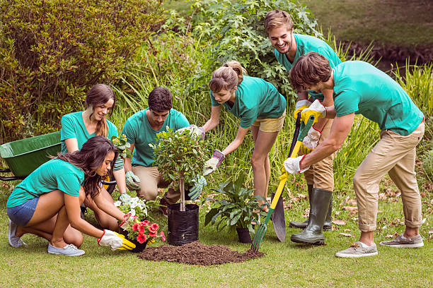 istock Happy friends gardening for the community 482566828