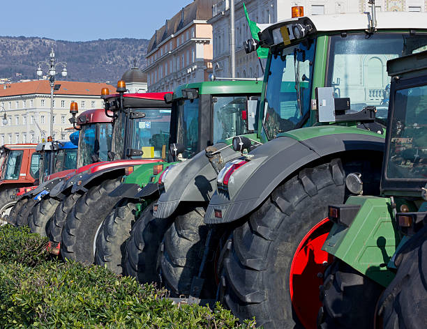 istock Row of Tractors Parked on Trieste's Waterfront 482567129
