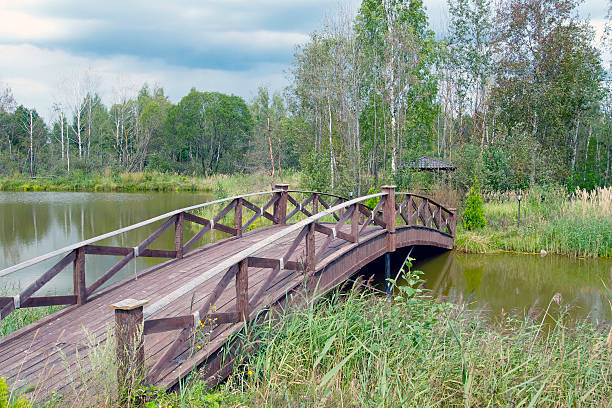 istock Wooden bridge in summer time 482567935