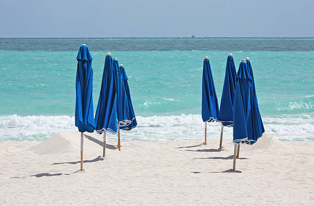 istock Two rows of beach umbrellas going to sea 482571417