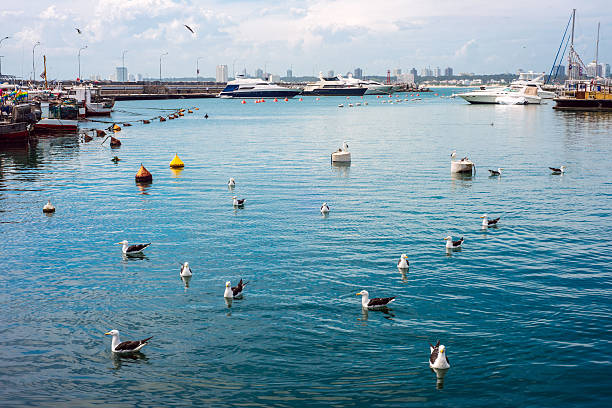 Yachts And Boats, Punta Del Este, Uruguay Yachts And Boats, Punta Del Este, Uruguay playas del este stock pictures, royalty-free photos & images