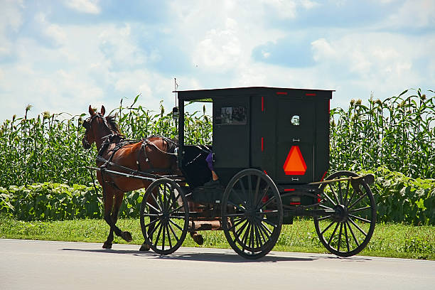 amish patín - cochero fotografías e imágenes de stock