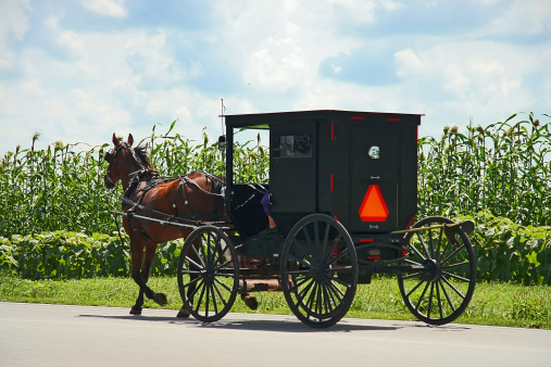 Amish carriage