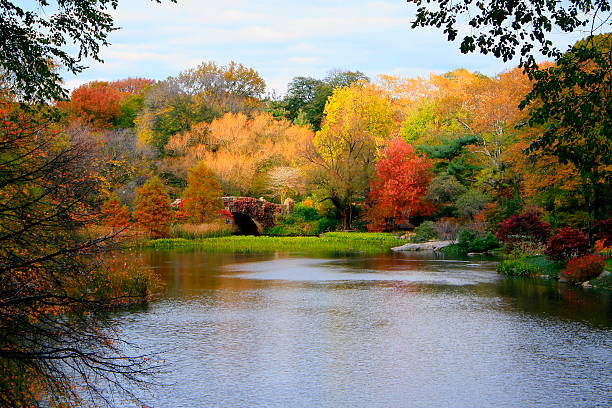 istock Idyllic landscape: Central Park Gapstow Bridge - New York 482576850