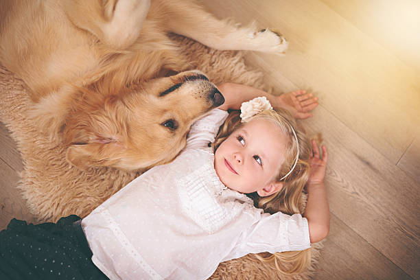 siamo in questo insieme, bambino - golden retriever friendship white small foto e immagini stock