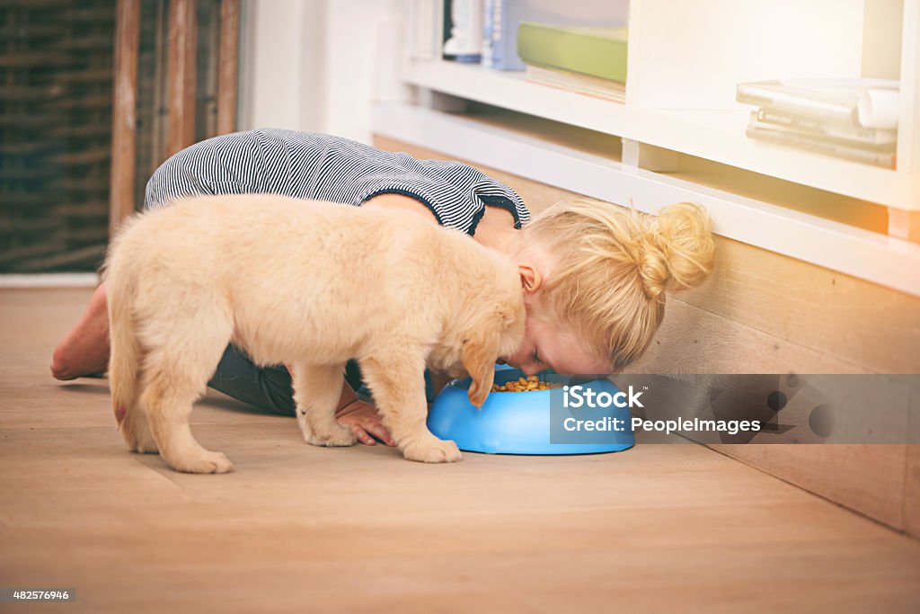 Friends forever...you eat, I eat An adorable little girl sharing a bowl of food with her puppy at homehttp://195.154.178.81/DATA/i_collage/pi/shoots/783492.jpg Child Stock Photo