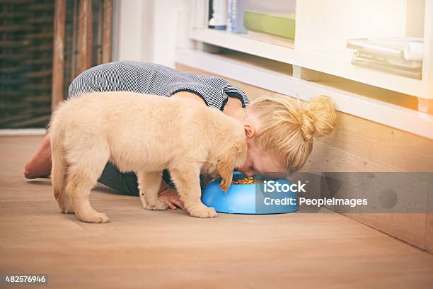 Friends Foreveryou Eat I Eat Stock Photo - Download Image Now - Child, Dog, Humor