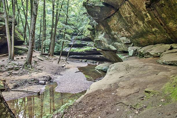 istock Canyon Forest In Hocking Hills State Park 482582950