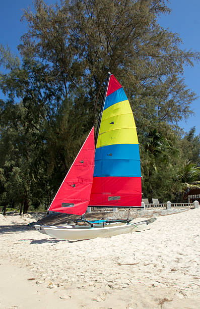 istock Colourful catamaran on beach, Phuket, Thailand 482583461
