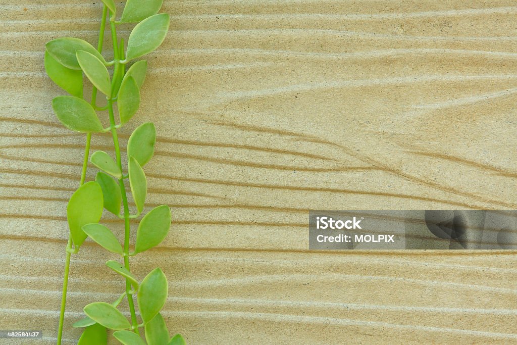 Wood texture with a plant Abstract Stock Photo