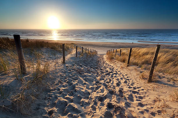 istock sunshine over path to beach in North sea 482585975
