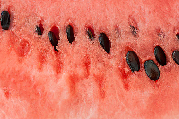 istock Closeup of watermelon with seeds in it 482587156