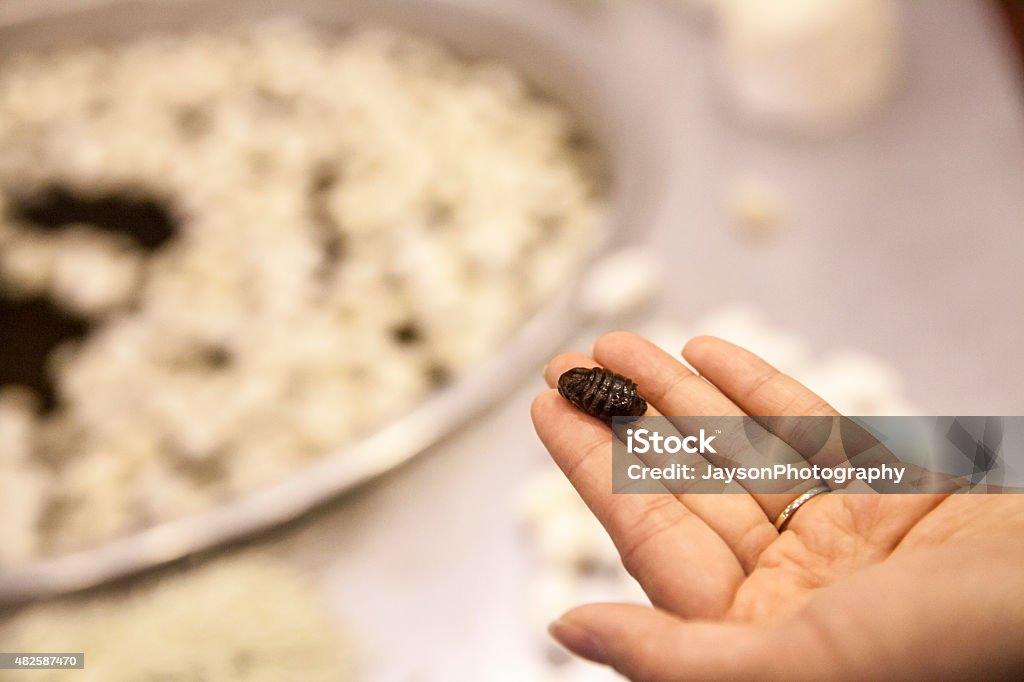 Silkworm cocoons that use to produce silk Factory Stock Photo