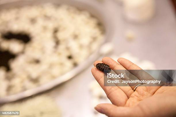Silkworm Cocoons That Use To Produce Silk Stock Photo - Download Image Now - Factory, Rug, Türkiye - Country