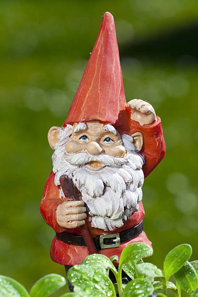 istock Little funny garden gnome 482587649