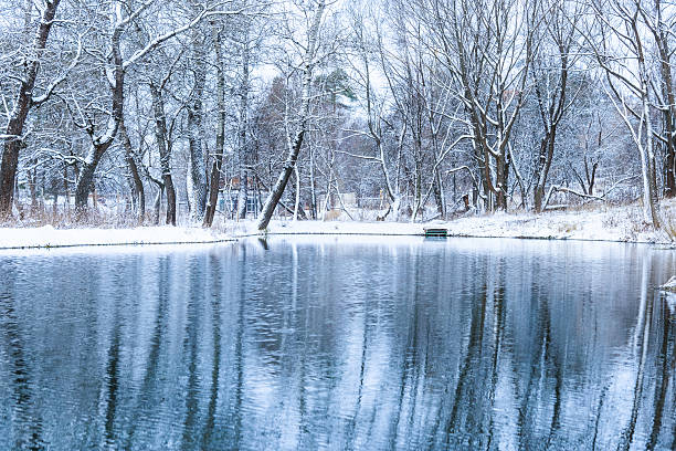 pas glacé pond en hiver - tony snow photos et images de collection