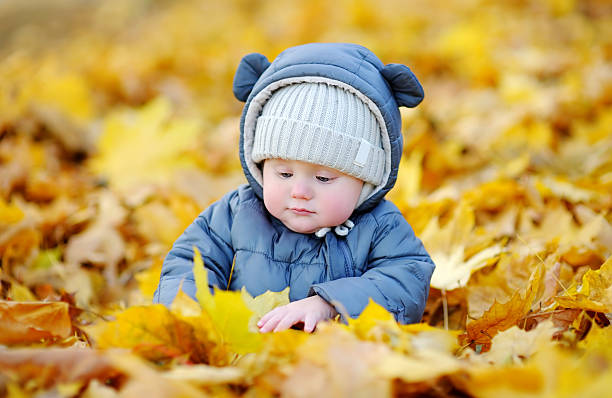 istock Little baby in the autumn 482590592