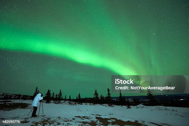 Man Photographing Aurora Borealis Stock Photo - Download Image Now - Alaska - US State, Aurora Borealis, Night