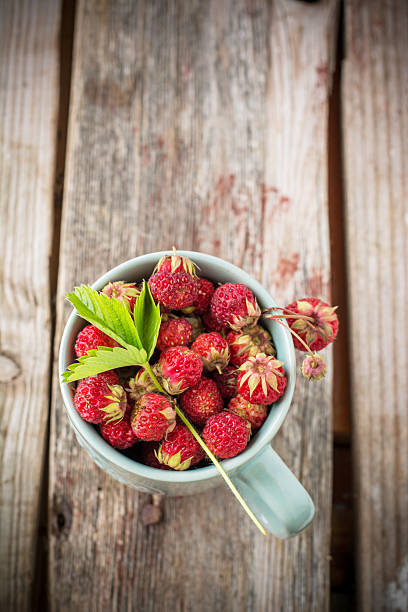 istock Gathered wild strawberries in a ceramic cup mint color 482594686