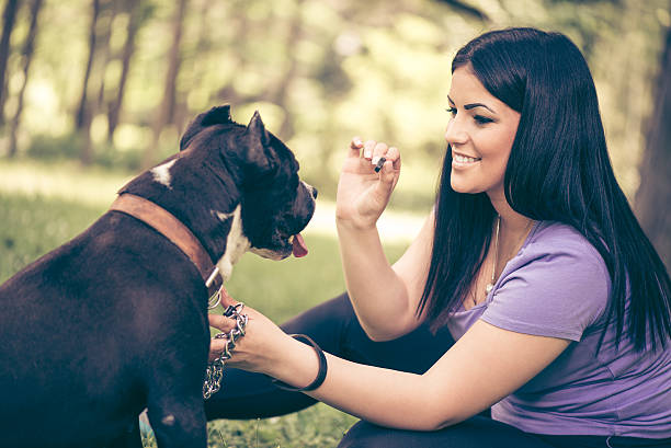 istock Girl And Dog 482594976