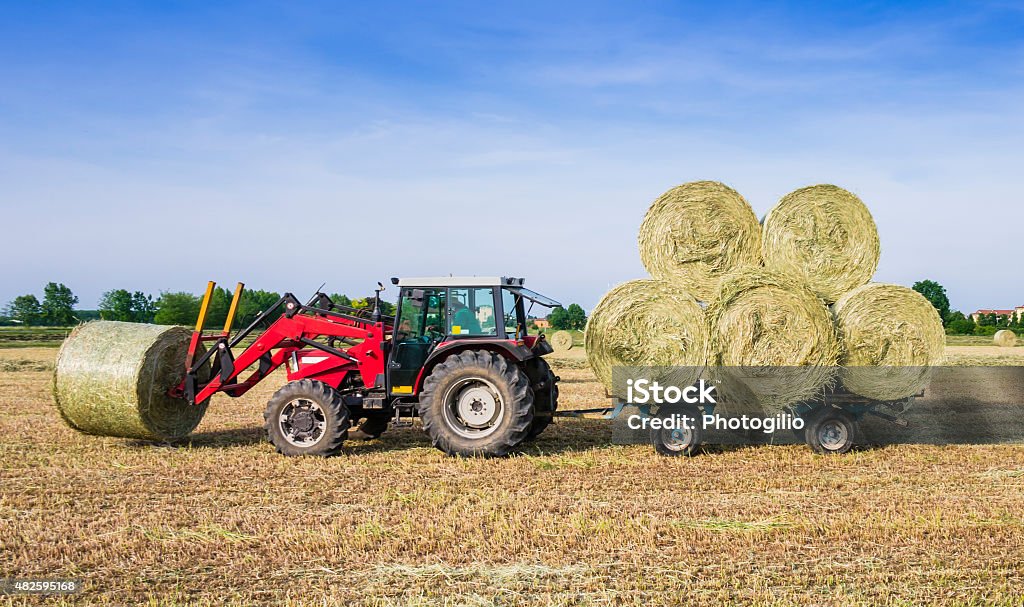 Hay harvesting machine Tractor collecting hay bales in the fields Bale Stock Photo