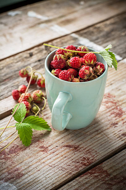 istock Gathered wild strawberries in a ceramic cup mint color 482596592