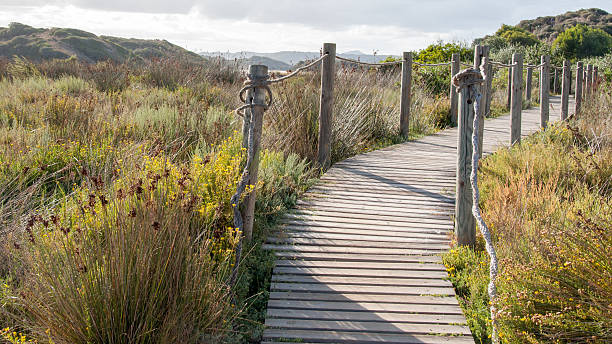 istock Wooden path crossing grass field in summer 482596687