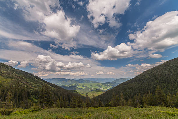 istock mountain summer landscape. trees near meadow 482597284