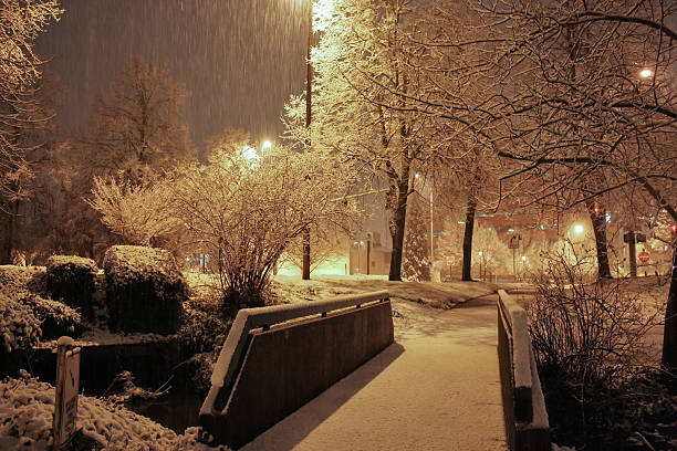 istock City park in winter 482597348