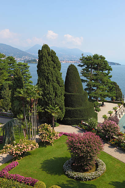 istock Masterpiece of landscape art on Isola Bella. 482597723