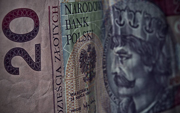 istock Polish paper money or banknotes 482598863