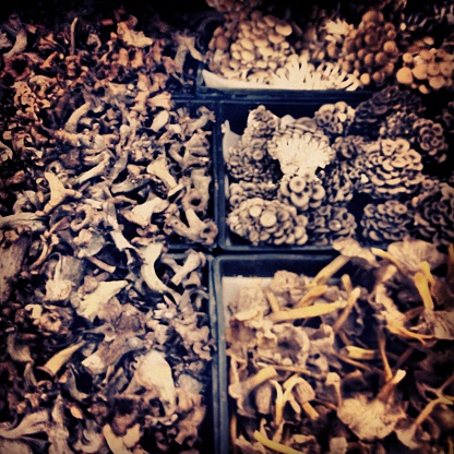 A selection of mushrooms for sale at a produce market.  Taken with an iPhone and processed in Instagram.