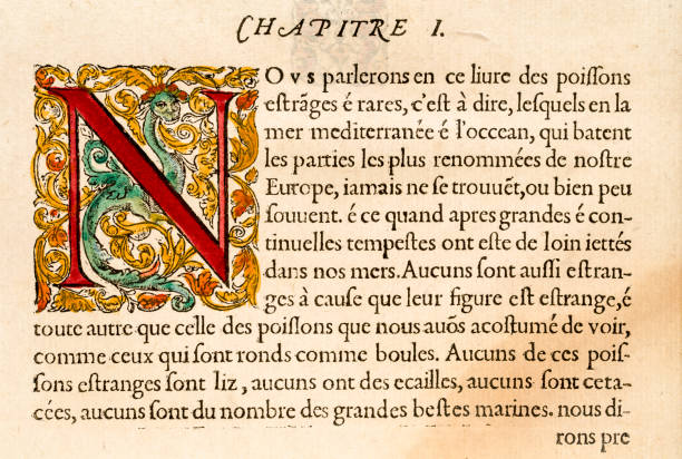 istock Paragraph with illuminated capital letter N, Antique 16th Century illustration 482599682
