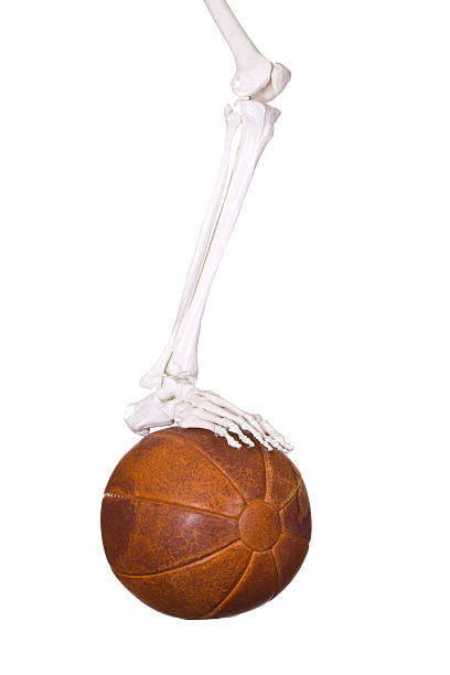 スケルトン脚に古いレザーボール - soccer ball old leather soccer ストックフォトと画像