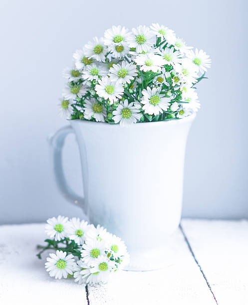 istock Daisies in white vase on wooden background 482599975