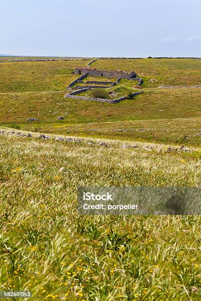 Sheepfold Stock Photo - Download Image Now - Agriculture, Animal Migration, Animal Pen