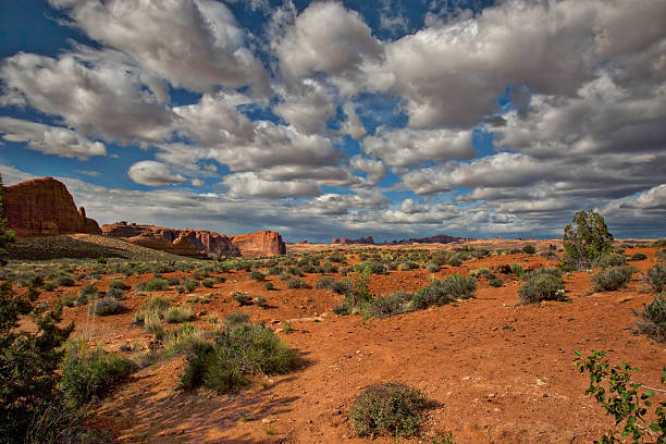 istock Wild West Desert under Wide Beautiful Blue Sky 482603074