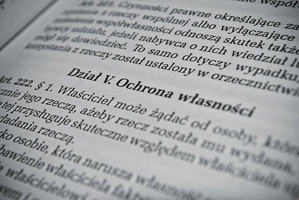 istock Polish civil law 482603227