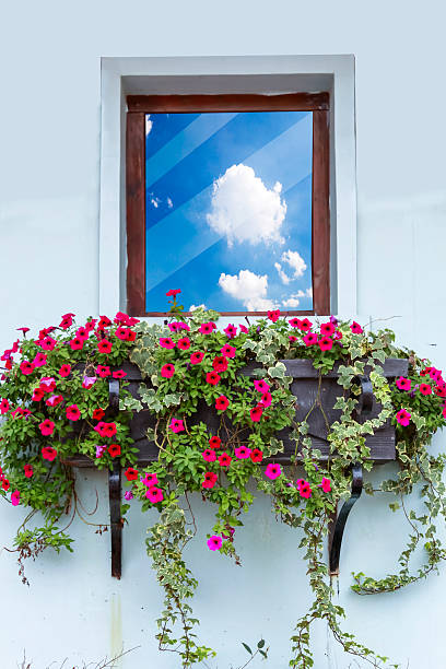 istock windows of old house 482604050