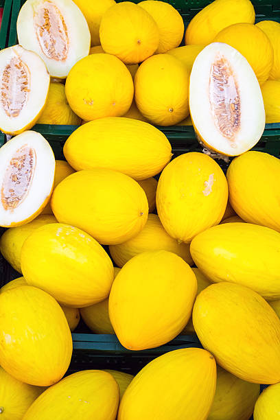 istock Yellow canary melons for sale 482604064