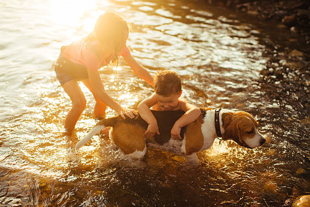 istock Giving our dog a bath in the river 482610676