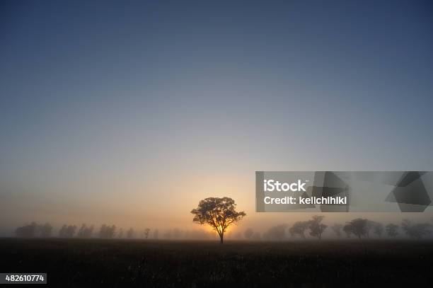 Silhouette Of Australia Landscape Tree At Sunset Stock Photo - Download Image Now - Leaf, Royalty, 2015