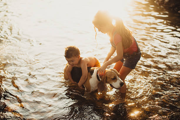 istock Giving our dog a bath in the river 482610796