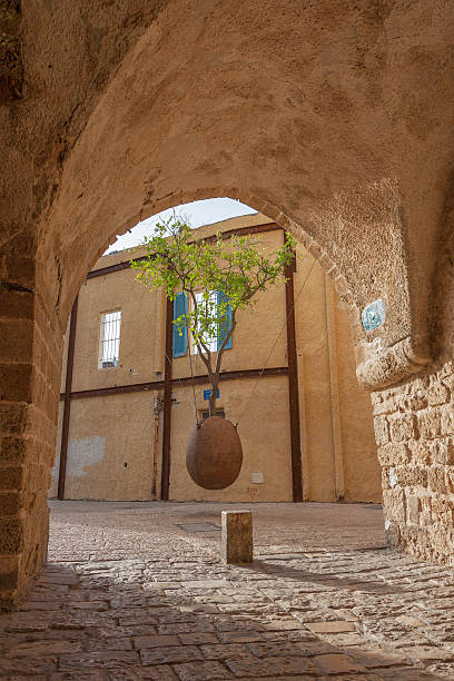 Tree suspended in the air without roots - Jaffa ancient city in Tel Aviv, Israel
