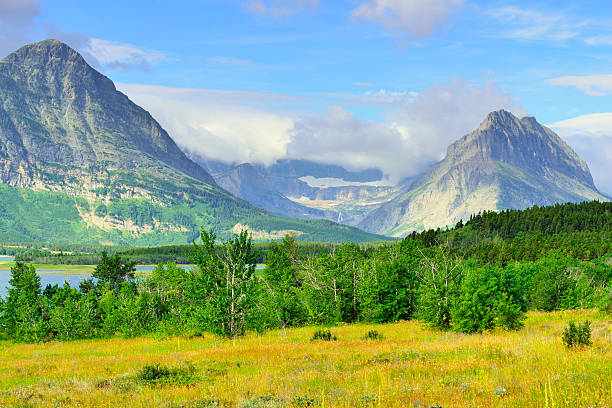 istock Glacier National Park by Sherburne lake 482611346