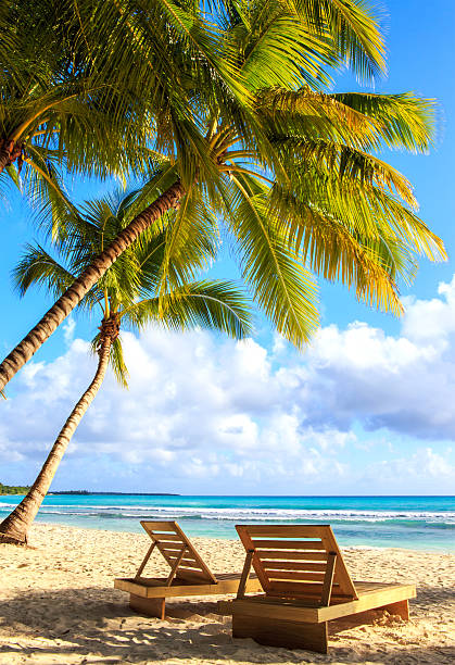 istock Saona island beach 482612296