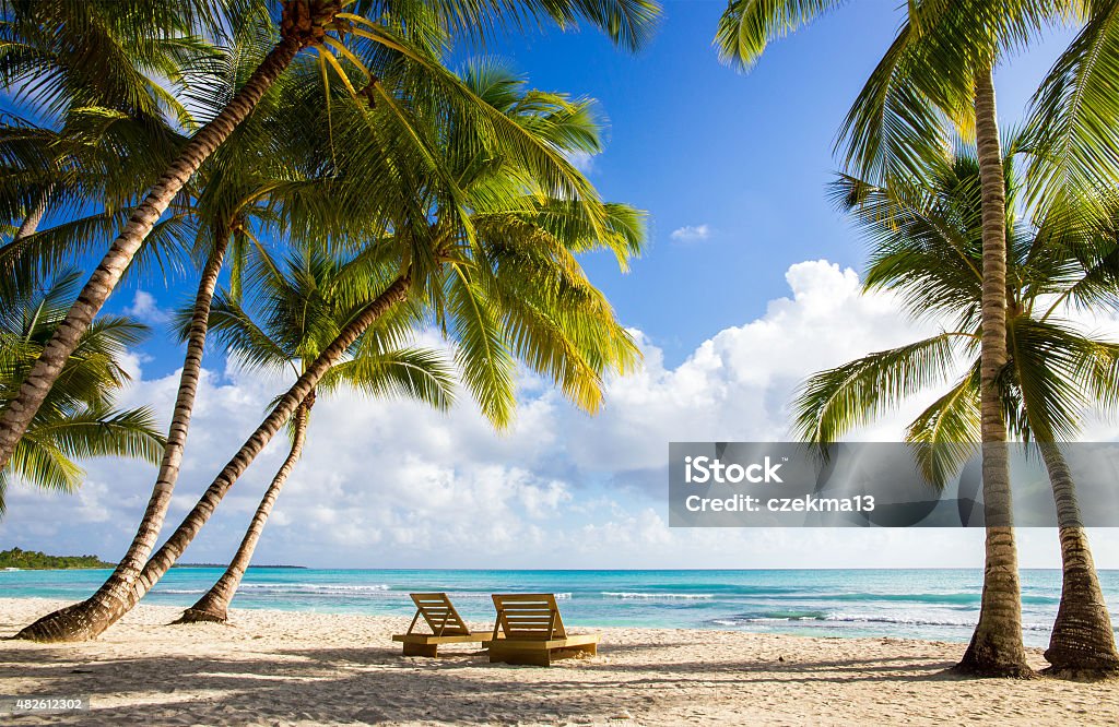 Saona island beach Beautiful caribbean beach on Saona island, Dominican Republic Beach Stock Photo