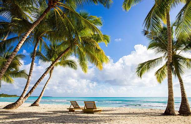 Saona island beach Beautiful caribbean beach on Saona island, Dominican Republic caribbean sea stock pictures, royalty-free photos & images